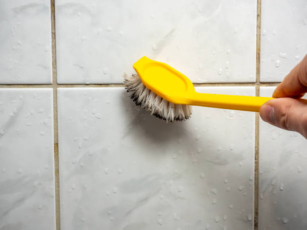 Attic Mold Removal in Beverly, MA