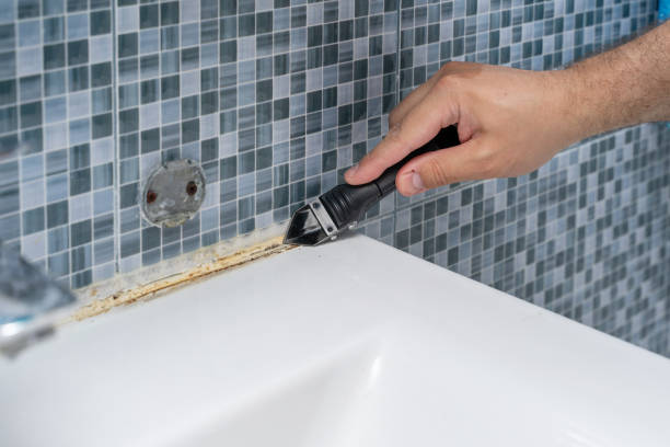 Best Best Mold Removal Companies  in Beverly, MA
