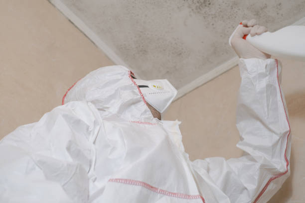 Best Emergency Mold Removal  in Beverly, MA