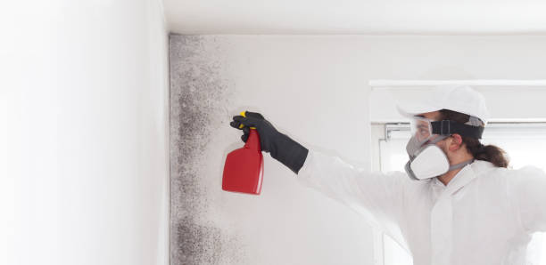 Best Mold Testing  in Beverly, MA